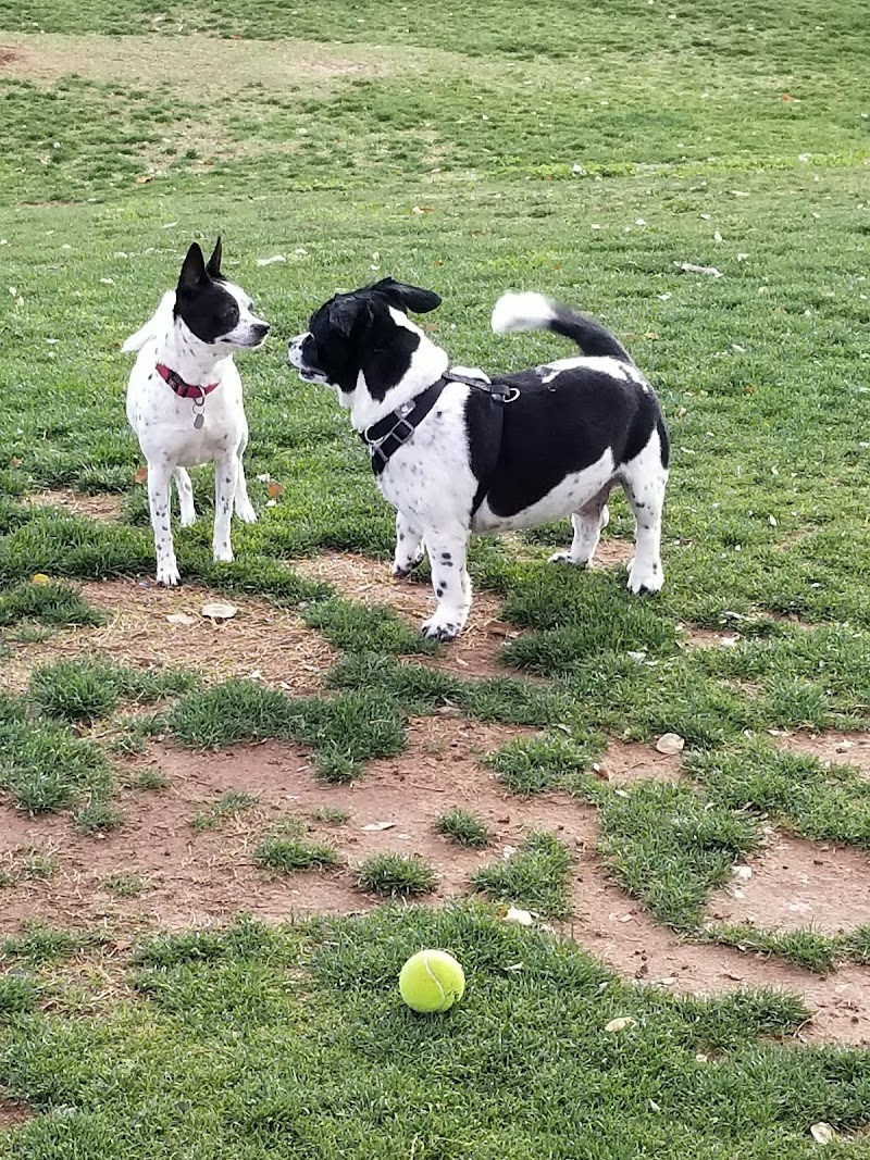 Small Dog Park - Surprise, AZ