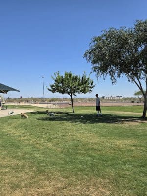 Small Dog Park