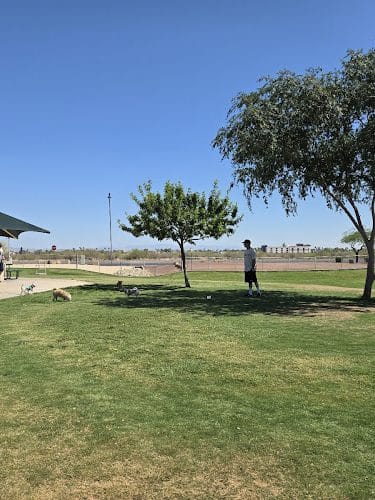Small Dog Park