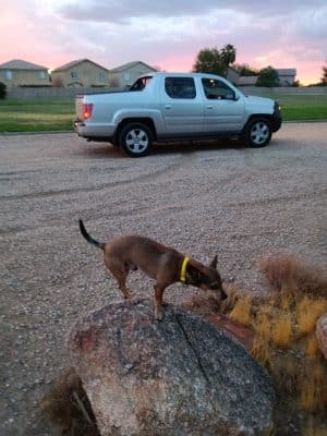 Small Dog Park
