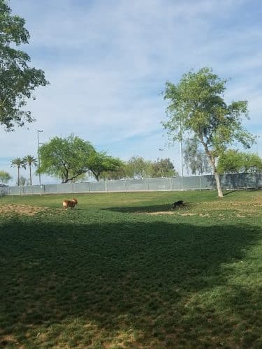 Small Dog Park