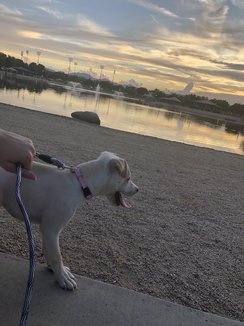 Small Dog Park - Surprise, AZ