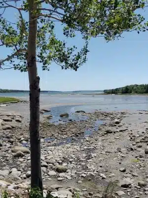 Carter Nature Preserve - Blue Hill Heritage Trust