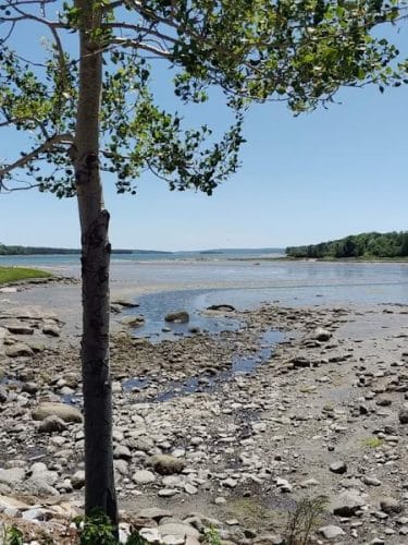 Carter Nature Preserve - Blue Hill Heritage Trust
