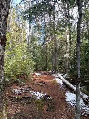 Carter Nature Preserve - Blue Hill Heritage Trust
