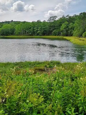 Carter Nature Preserve - Blue Hill Heritage Trust