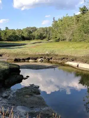 Carter Nature Preserve - Blue Hill Heritage Trust