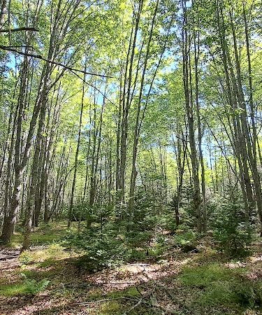 Carter Nature Preserve - Blue Hill Heritage Trust