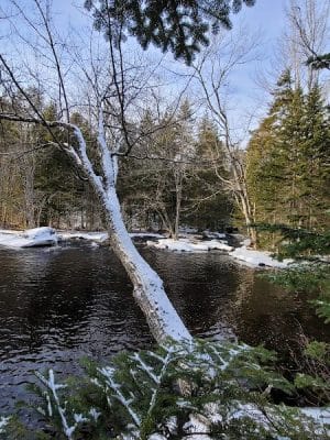 Patten Stream Preserve- Blue Hill Heritage Trust