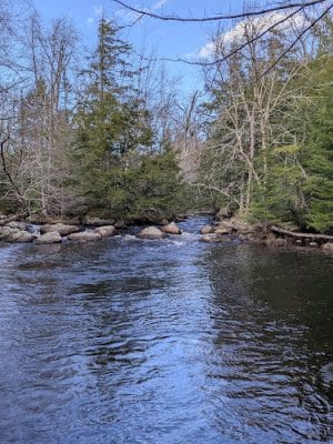 Patten Stream Preserve- Blue Hill Heritage Trust