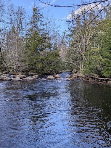 Patten Stream Preserve- Blue Hill Heritage Trust