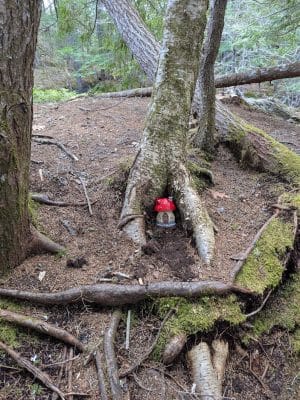 Patten Stream Preserve- Blue Hill Heritage Trust
