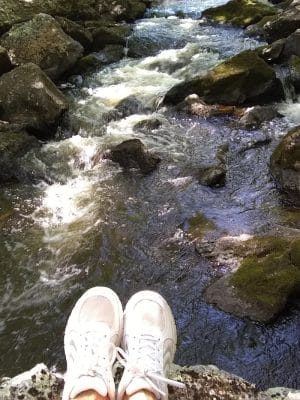 Patten Stream Preserve- Blue Hill Heritage Trust
