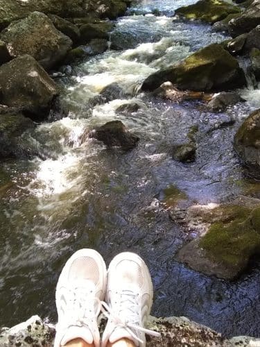 Patten Stream Preserve- Blue Hill Heritage Trust