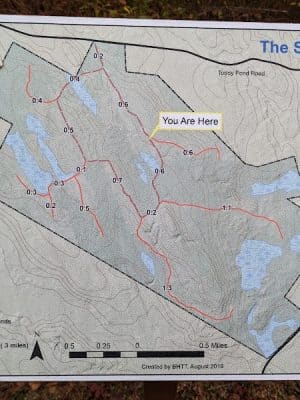 Surry Forest, Blue Hill Heritage Trust