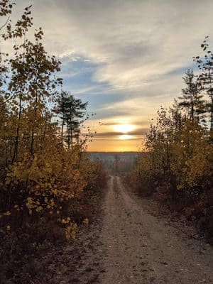 Surry Forest, Blue Hill Heritage Trust