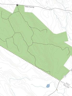 Surry Forest, Blue Hill Heritage Trust