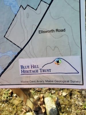 Surry Forest, Blue Hill Heritage Trust