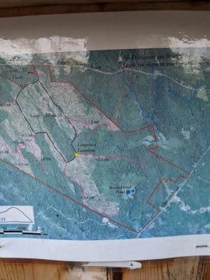 Surry Forest, Blue Hill Heritage Trust