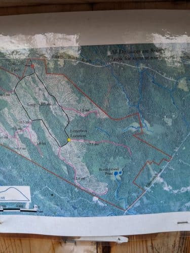 Surry Forest, Blue Hill Heritage Trust