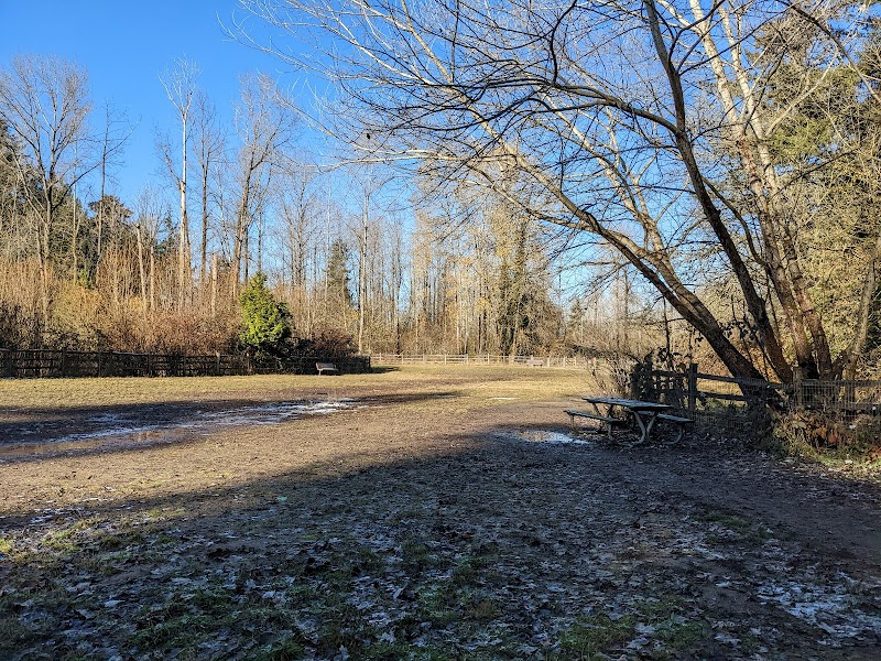 Wapato Park Off-Leash Dog Park - Tacoma, WA