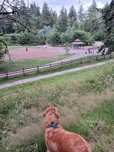 Wapato Park Off-Leash Dog Park - Tacoma, WA