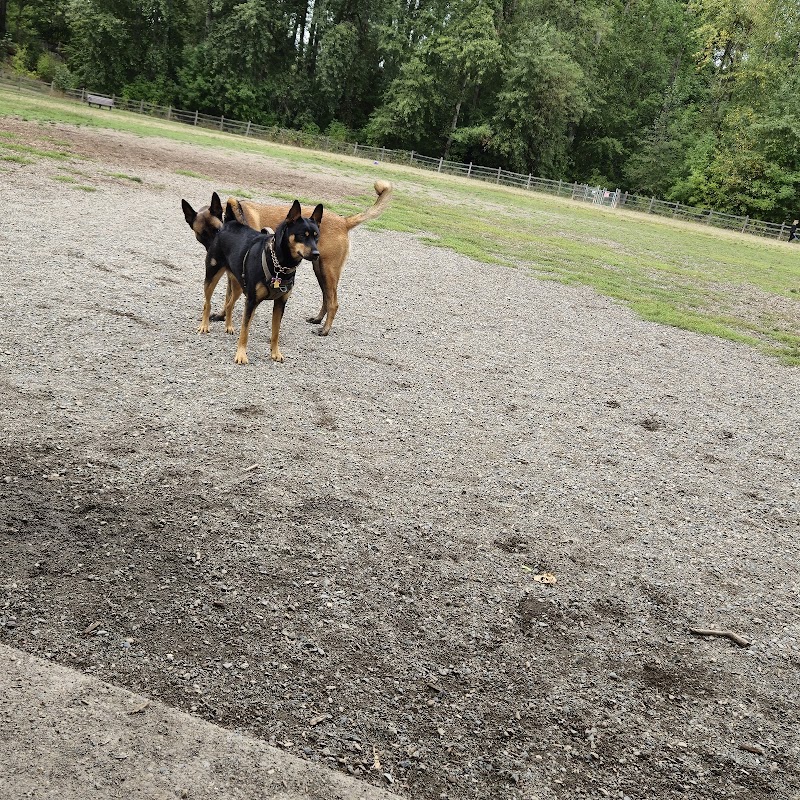 Wapato Park Off-Leash Dog Park - Tacoma, WA