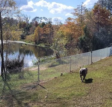 Bradfordville Dog Park - Tallahassee, FL