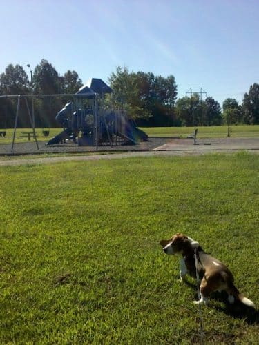 Tamms Community Park - Tamms, IL