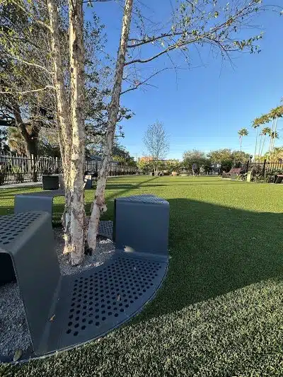 4th and Angel Dog Park - Tampa, FL