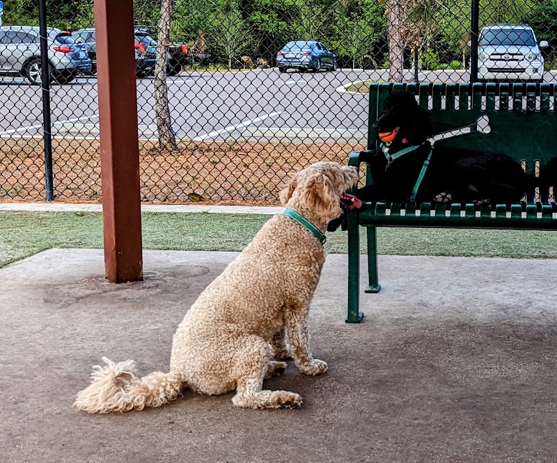 Carrollwood Village Dog Park - Tampa, FL