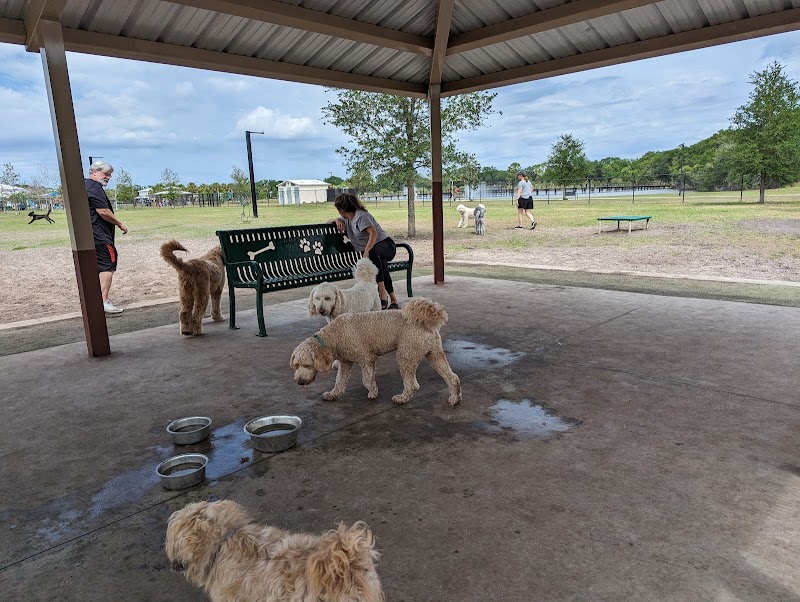 Carrollwood Village Dog Park - Tampa, FL