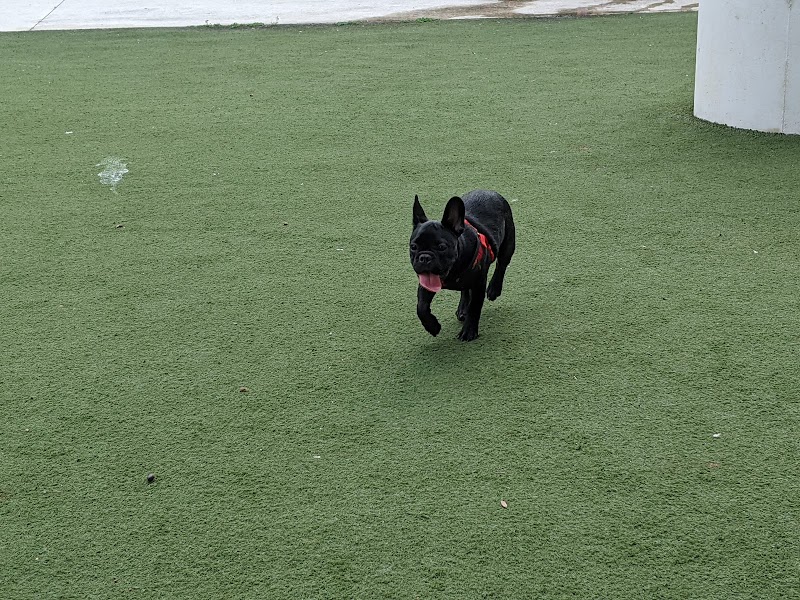 Curtis Hixon Waterfront Park Dog Park - Tampa, FL