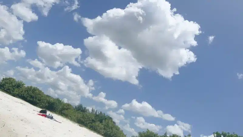 Davis Dog Beach - Tampa, FL