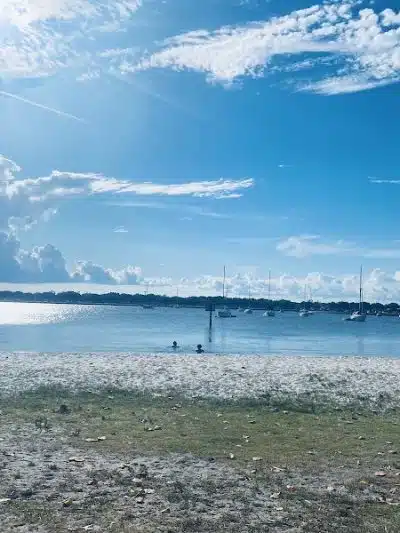 Davis Island Dog Park - Tampa, FL