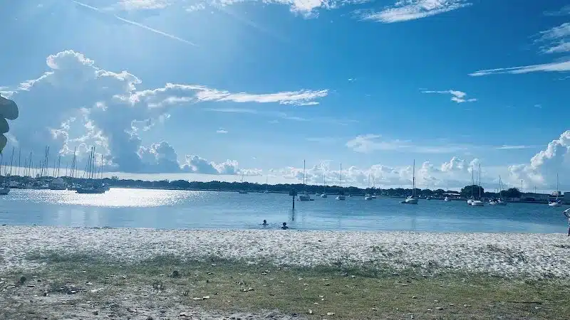 Davis Island Dog Park - Tampa, FL
