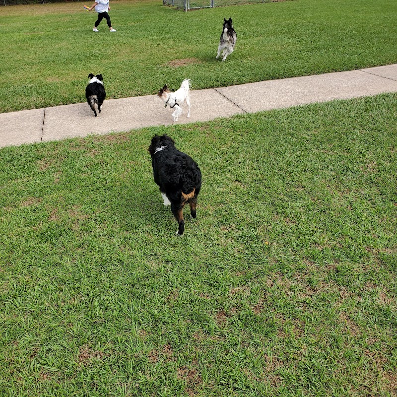 Logan Gate Dog Park - Tampa, FL