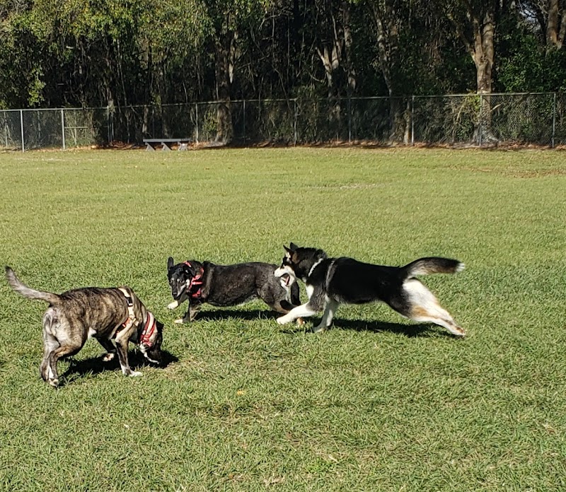 Logan Gate Dog Park - Tampa, FL