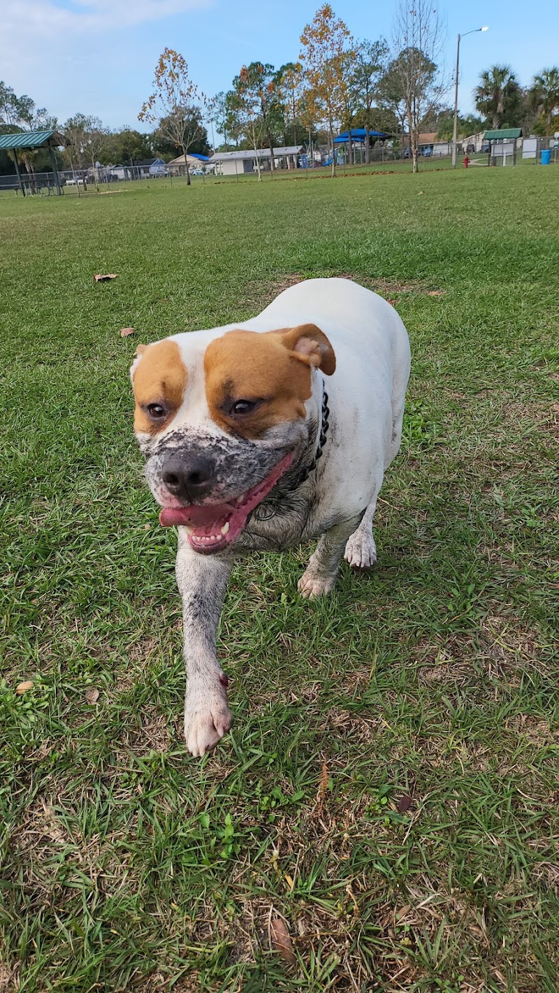 Logan Gate Dog Park - Tampa, FL
