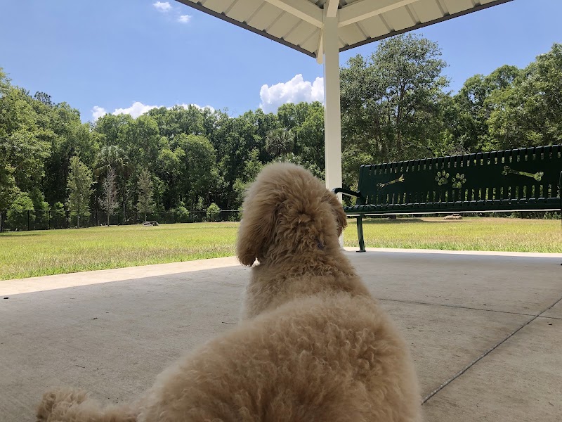 New Tampa Dog Park - Tampa, FL