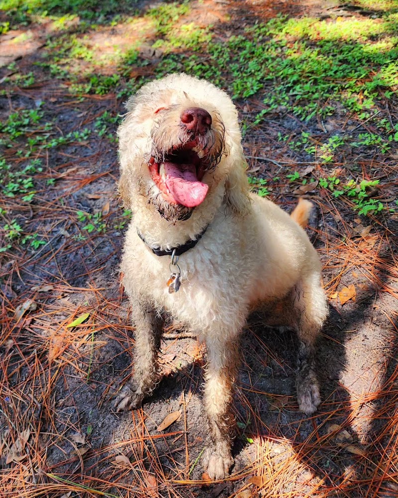New Tampa Rotary Dog Park - Tampa, FL