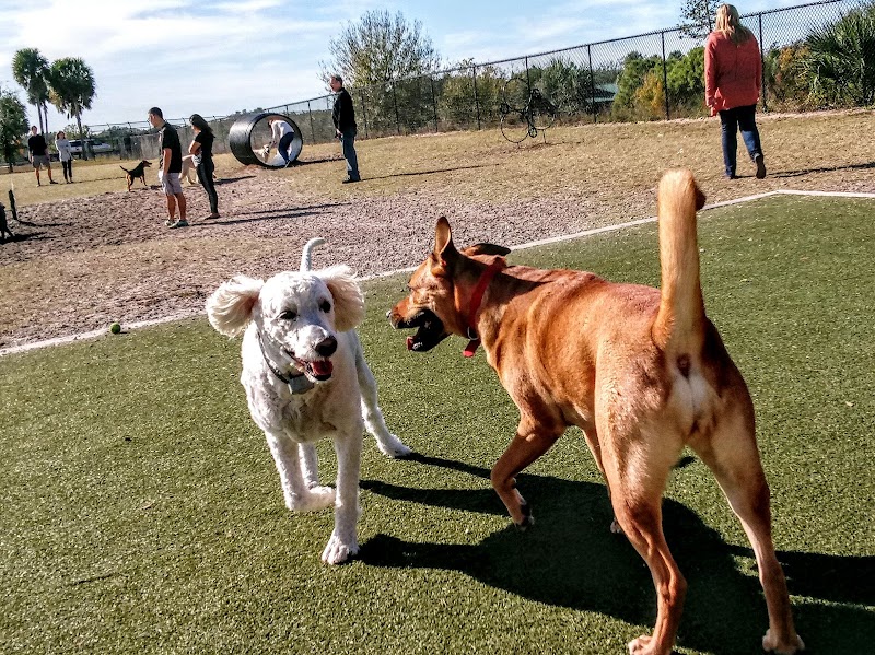 Northwest County Dog Park - Tampa, FL
