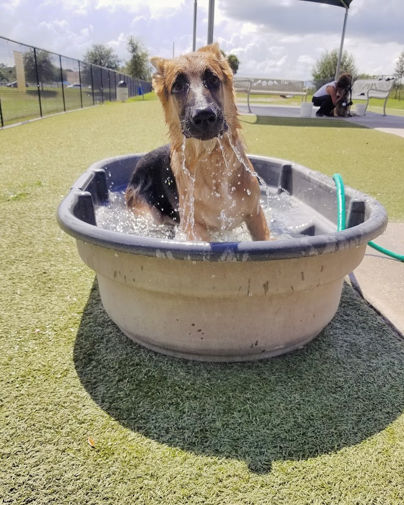 Northwest County Dog Park - Tampa, FL