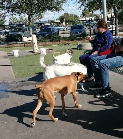Northwest County Dog Park - Tampa, FL