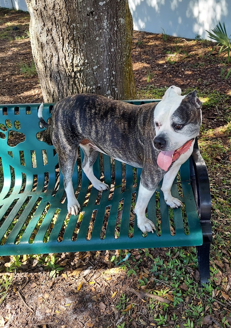 Parker’s Landing Dog Park - Tampa, FL
