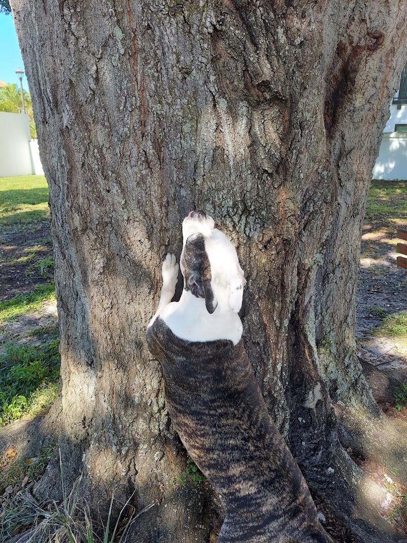 Parker’s Landing Dog Park - Tampa, FL