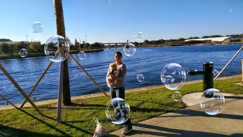 Queenie's Dog Park - Tampa, FL