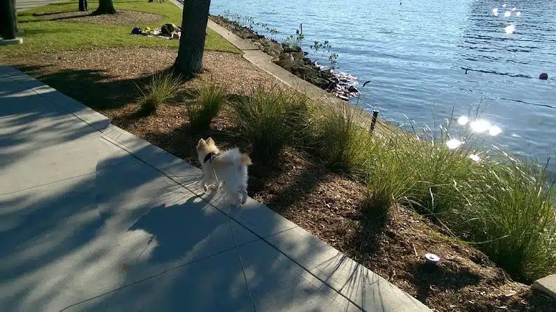 Queenie's Dog Park - Tampa, FL