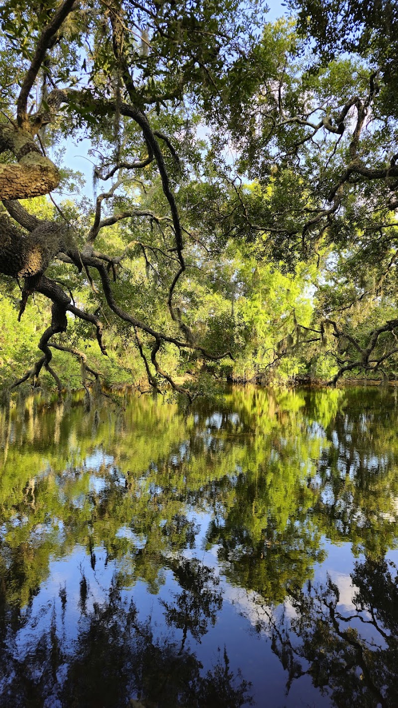 Rowlett Dog Park - Tampa, FL