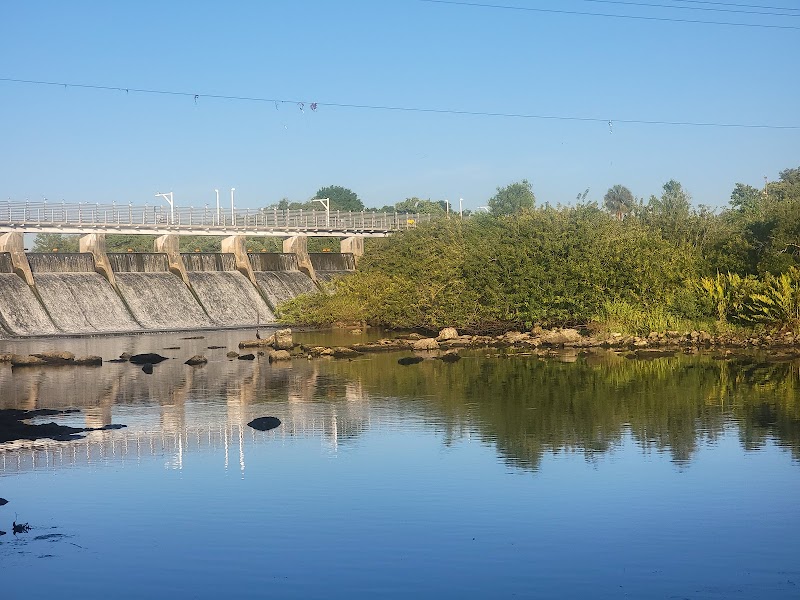 Rowlett Dog Park - Tampa, FL